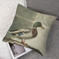 thumbnail image 7 of nygtbtfer Pillow Covers Couch Sofa Decorative Throw Pillows Cushion Cover Vintage Print Mallard Duck Square Pillow Cases for Bed Living Room White, 7 of 7