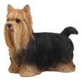 thumbnail image 5 of Long Haired Yorkie Statue 11.5"L Pet Pal Yorkshire Terrier Dog Figurine Decor, 5 of 11