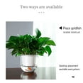 thumbnail image 4 of Hmgxay Transparent Hydroponic Plant Pot, Automatic Water-Absorbing Hanging Flower Planter, Self-Watering Potted Plant Container, Lightweight Indoor Greenery Water Reservoir(White), 4 of 7