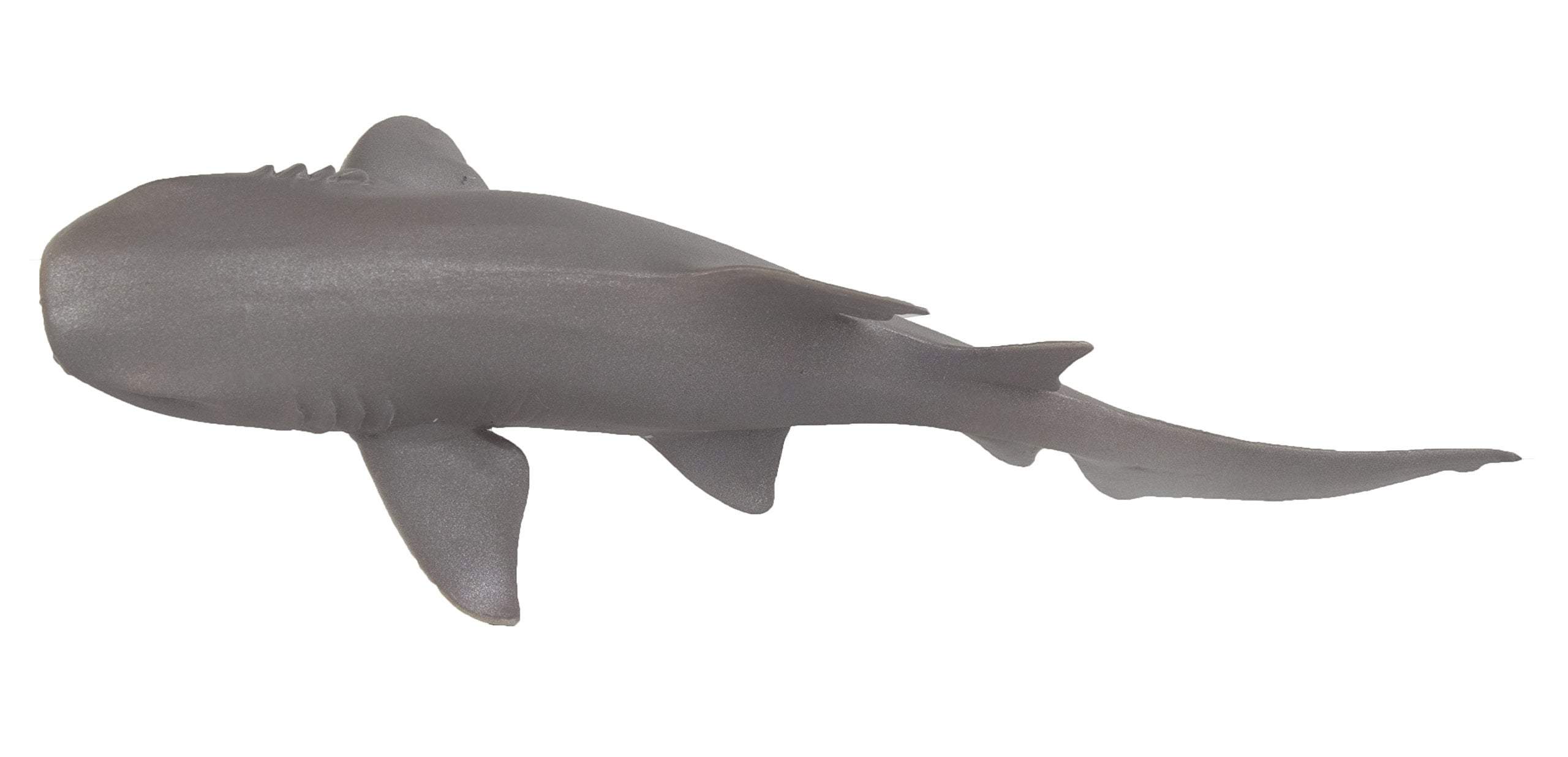 nurse shark toy