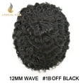 thumbnail image 2 of Lyricalhair Toupee for Men 12MM Kinky Curly Hairpieces for Man Brazilian Human Hair Replacement System Full PU Hair Units for African American Mens Wig Male Hair Prosthesis #1B Off Black, 2 of 5
