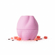 thumbnail image 1 of Daise Bálsamo Labial Hidratante Watermelon Crush 7 gr, 1 of 5