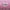 Light Pink, variant on 3Pcs Red Metallic Tinsel Foil Fringe Curtains, 3.28ft x 6.56ft Photo Booth Props.Glitter String Backdrop Streamers for Door Wall Tassle Curtains Background Birthday, Christmas Party Decorations