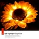 thumbnail image 2 of Luz De Tierra Lámpara de césped solar duradera con luz de suelo de girasol LED para patio (1 arrastre 2) Tmvgtek Para estrenar, 2 of 9