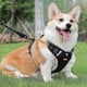 thumbnail image 2 of Reflective Dog Harness with Control Handle - Breathable Puppy Safety Vest for Small Medium Large Dogs, 2 of 5