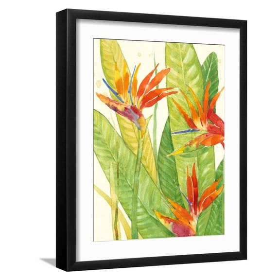 Art.com Watercolor Tropical Flowers III Art Print by Tim OToole, Black Frame Wall Art, 17" x 21"