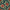 Retro Christmas Poinsettia, variant on Yayeee Pillowcase Standard Size Set of 2 Satin Wrinkle Resistant Pillow Case, Blue Floral