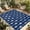 Blue, variant on Starfish Navy Outdoor Rug for Patio/Deck/Porch, Non-Slip Large Area Rug 5 x 7 Ft, Blue Coastal Ocean Summer Sea Beach Indoor Outdoor Rugs Washable Area Rugs, Reversible Camping Rug Carpet Runner