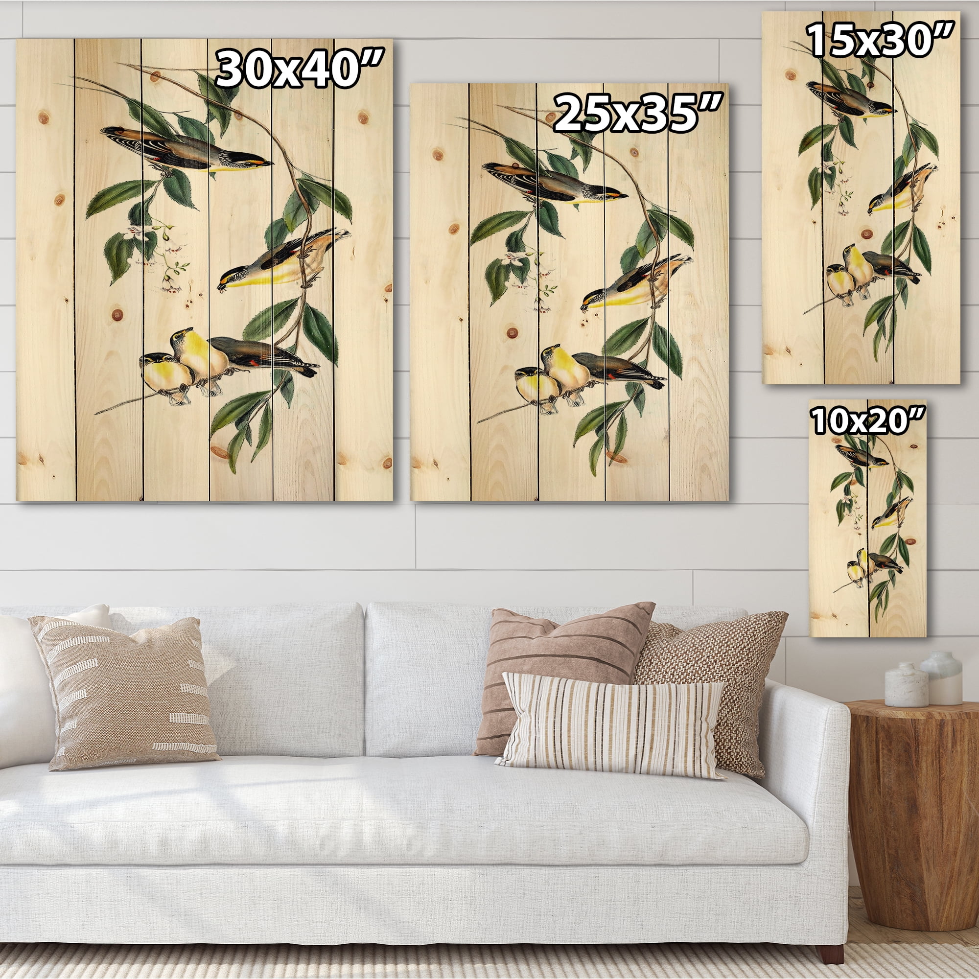 Designart 'Ancient Bird III' Traditional Print on Natural Pine Wood