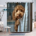 thumbnail image 6 of JHyouerji Shower Curtain,Waterproof Decor Curtain,24x70 Inch Rustic Bath Curtain with Hooks for Bathroom Hotel, 6 of 7