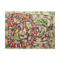 Trademark Fine Art 'Coral Snake Ouroboros' Canvas Art by Charlsie Kelly