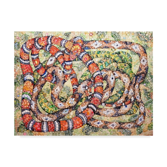 Trademark Fine Art 'Coral Snake Ouroboros' Canvas Art by Charlsie Kelly