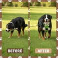 thumbnail image 5 of Nallwabiu No Pull Dog Harness Adjustable Vest with a Training Handle, Pocket, Easy to Put on & Take Off, With dog leash, 5 of 9