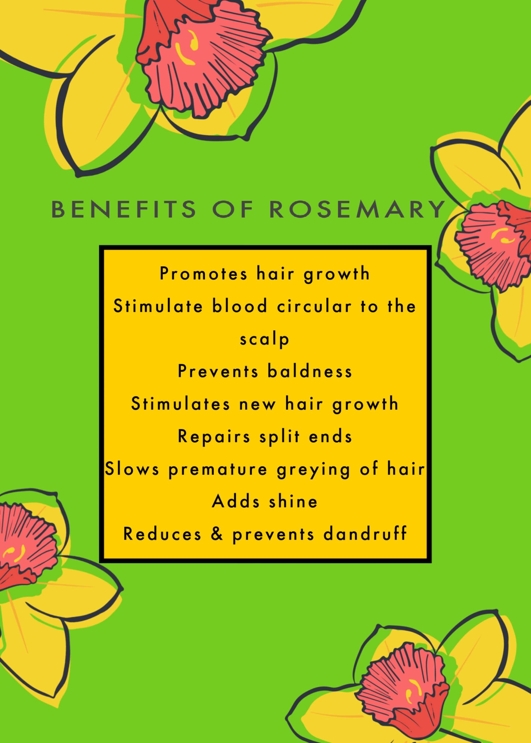 Rosemary Hair Growth Oil With & Grapeseed Oil for Healthy Hair Growth 8.5FL OZ