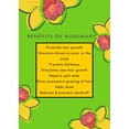 thumbnail image 4 of Rosemary Hair Growth Oil With & Grapeseed Oil for Healthy Hair Growth 8.5FL OZ, 4 of 7
