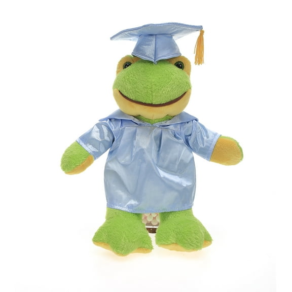 Made by Aliens Personalized Frog Stuffed Animal Plush Toy – Perfect Gift for Graduation Name or Your School Logo on Gown, Best for Any Grad School Kids 12 Inches