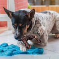 thumbnail image 5 of Dog Toys For Aggressive Chewers, Dog Chew Toys,indestructible Dog Toys For Large Breed, Bacon Flavo, 5 of 5