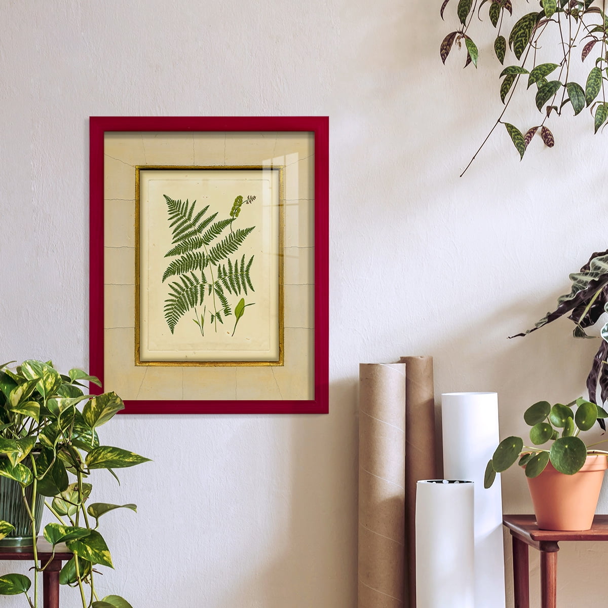 Fern with Crackle Mat (H) IV - Framed Print w/glass - Cherry Red