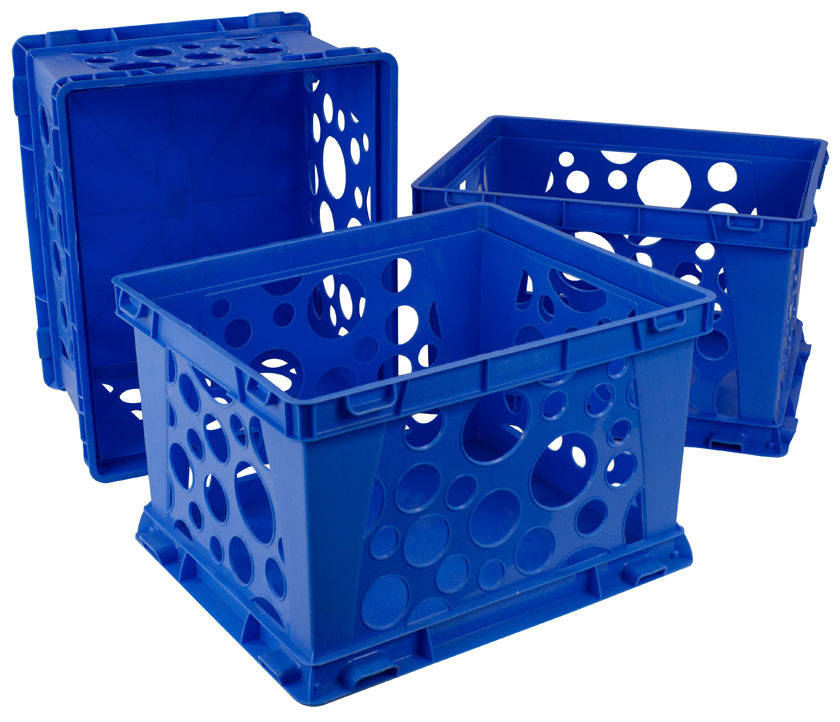Storex Mini Crate