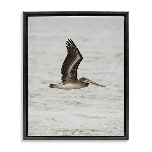 Stupell Industries Pelican Over Sea Animals Photography Black Floater Framed Canvas Art Print Wall Art, 17 x 21