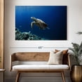 thumbnail image 3 of Elephant Stock Turtle Adventure Wall Art - Horizontal Canvas Wall Art - Living Room Wall Decor - Animal Canvas - Blue And Turquoise Decor - 51" x 34", 3 of 8