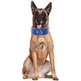 thumbnail image 2 of Collar para perro de cuero PU con tachuelas y puntas afiladas de 3", 2 of 4