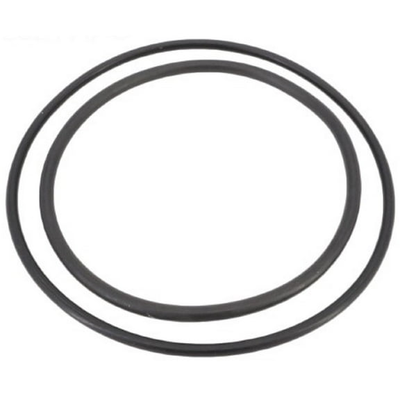 ZBR12200 Pentair O-Ring Kit
