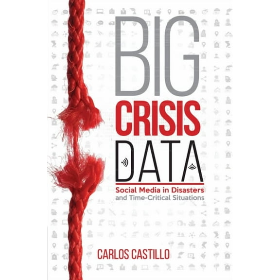 Big Crisis Data, (Paperback)