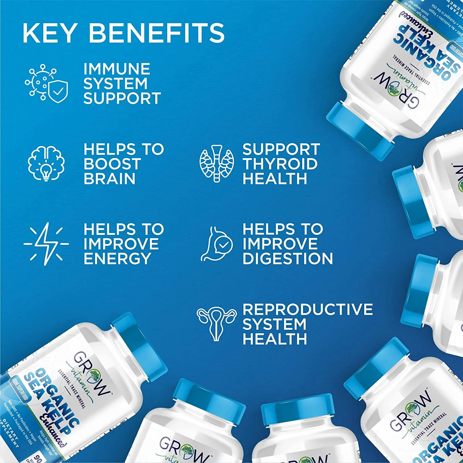 Organic Sea Kelp (Icelandic) Enhanced - Pure Healthy Thyroid Support Natural Iodine Supplement w/Organic Sea Kelp, Blue-Green Algae Red Algae - Immune System Metabolism Support - 90 Capsules