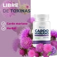 thumbnail image 4 of Cardo Mariano 500mg - 2 Frascos - 100 Cápsula Por Frasco Sin Sabor, 4 of 7