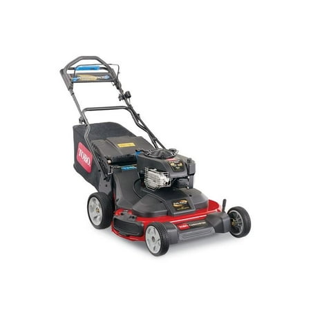 Toro TimeMaster 30