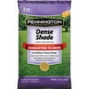 Pennington Seed Dense Shade Grass Mixture, South, 3 lbs