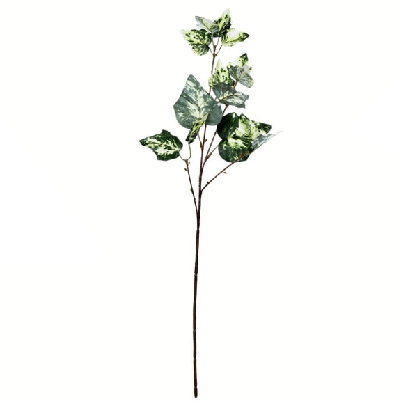 Vickerman 24" Artificial Green Variegated Ivy Spray. Includes 6 sprays per pack.