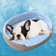 thumbnail image 5 of Camas para perros pequeños y gatos en liquidación. Cama lavable para mascotas, sofá cama ortopédico para perros, diseño elegante y lujoso con laterales anchos, suave, relajante y cálida, base antidesl, 5 of 5