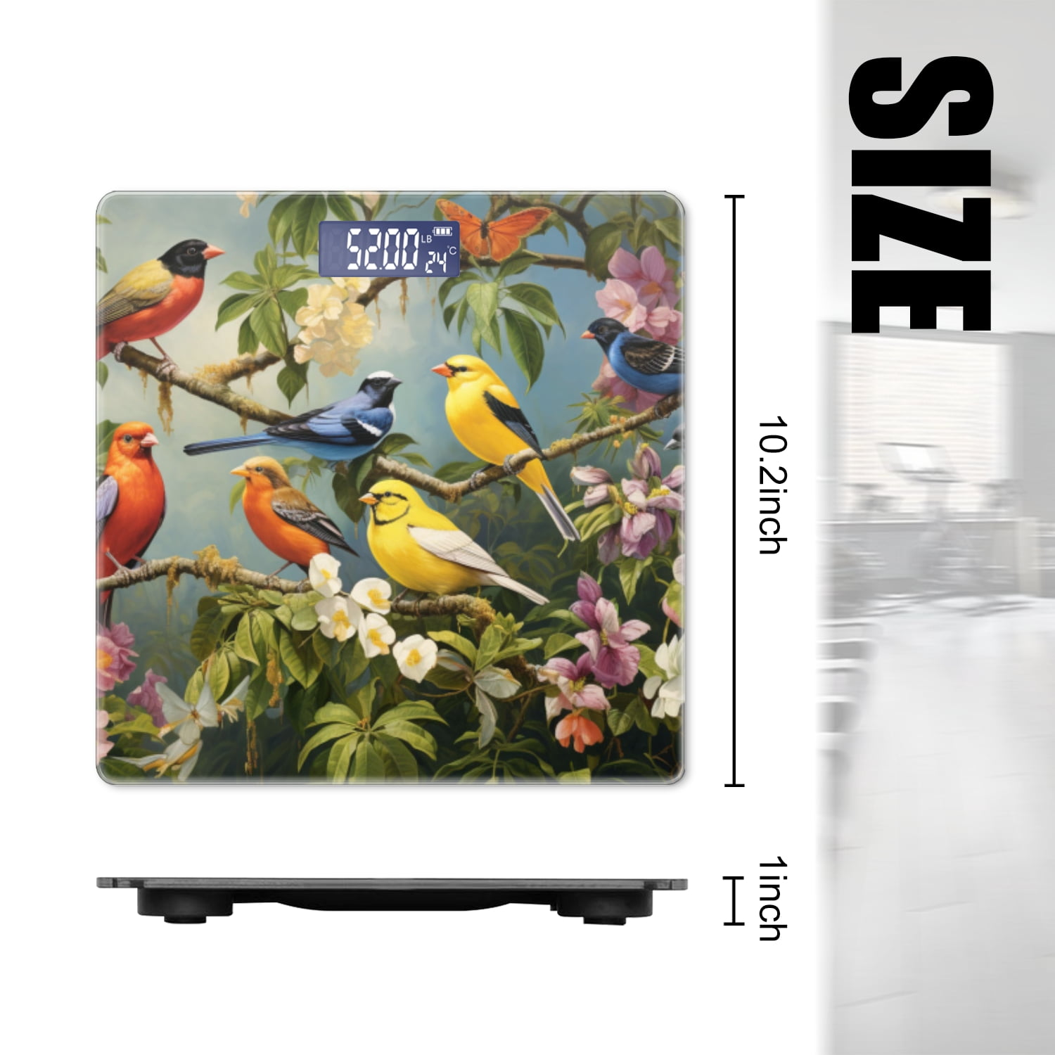 Bathroom Scale, Highly Accurate Digital Body Scale,Precisely Measures Weight up to 400 lbs-Group Of Colorful Birds Perched On Branches