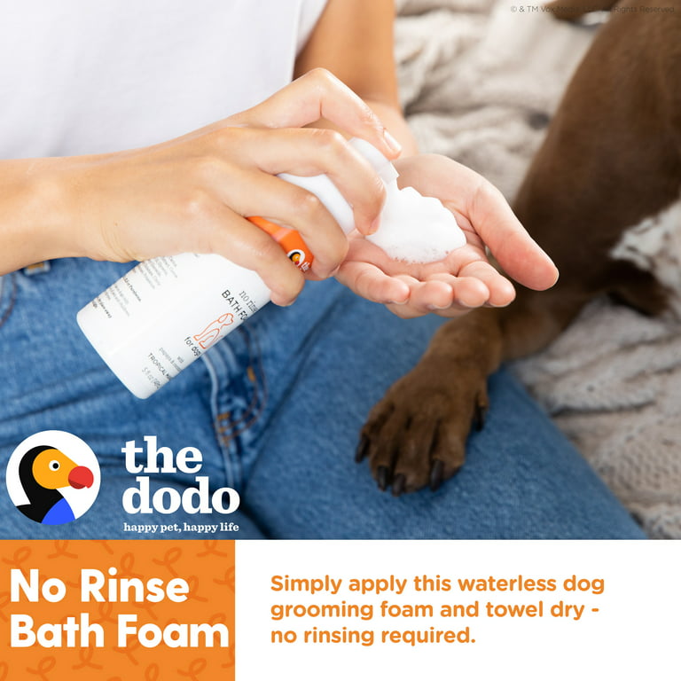 6 Dog Bath Mats For Your Bathroom - DodoWell - The Dodo