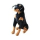 thumbnail image 4 of Juguete de simulación de perro, adornos realistas de pie, linda estatua decorativa de perro de peluche 50cmx35cm, 4 of 9