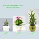 thumbnail image 3 of Juego de 3 piezas de herramientas de jardinería, mini mango de madera, paleta, herramientas de jardinería compatibles con flores, trasplante suculento (pequeño) Afortunado Sencillez, 3 of 5