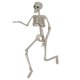 thumbnail image 1 of cuerpo esqueleto Horror esqueleto Halloween fiesta temática cementerio tumba jardín estante enseñanza ayuda figura decoración coleccionable , Alto 160cm Alto 160cm Magideal cuerpo esqueleto, 1 of 7