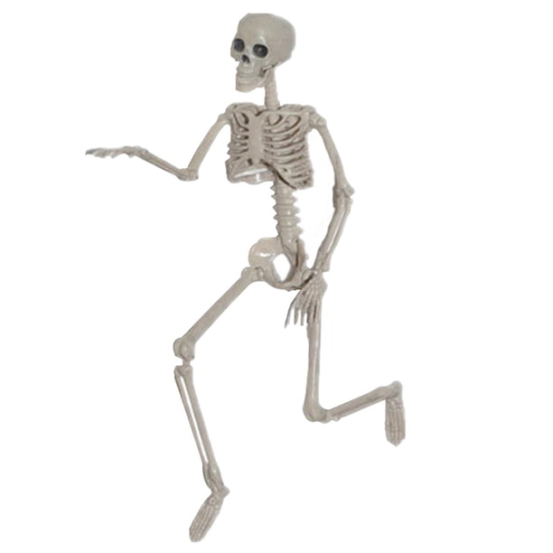 cuerpo esqueleto Horror esqueleto Halloween fiesta temática cementerio tumba jardín estante enseñanza ayuda figura decoración coleccionable , Alto 160cm Alto 160cm Magideal cuerpo esqueleto
