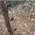 thumbnail image 5 of Black Electric Fence Insulator Screw-in Insulator Fence Ring Post Wood Post Insulator (Grid System Accessories for Animal Husbandry Electronic), 5 of 7