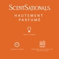 thumbnail image 5 of Cubes de cire parfumée ScentSationals - Dreamsicle Cream, 5 of 5