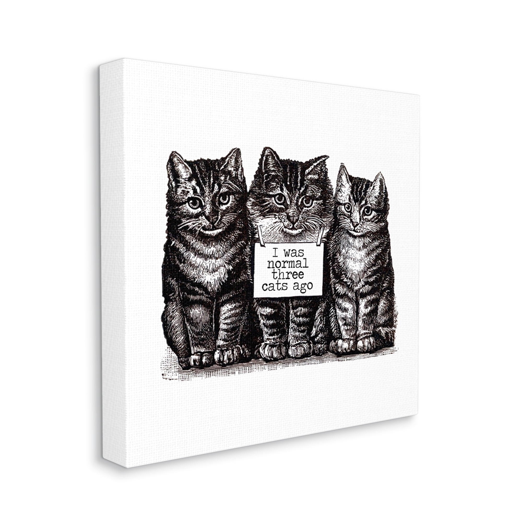 Normal Three Cats Ago Phrase Monochrome Sign Animals & Insects Drawing Print Gallery-Wrapped Canvas Print Wall Art