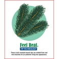 thumbnail image 2 of 6' Noelle Garland with 60 SoftWhite LED Battery Operated Lights, 2 of 2