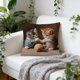 thumbnail image 1 of Cats Pillow Cover Cute Pet Pillow Bedroom Home Sofa Decorative Cushion Cover, 1 of 6