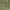 Tactical Green, variant on US ARMY ROMEO 36-inch XL Tactical Rolling Duffel Green