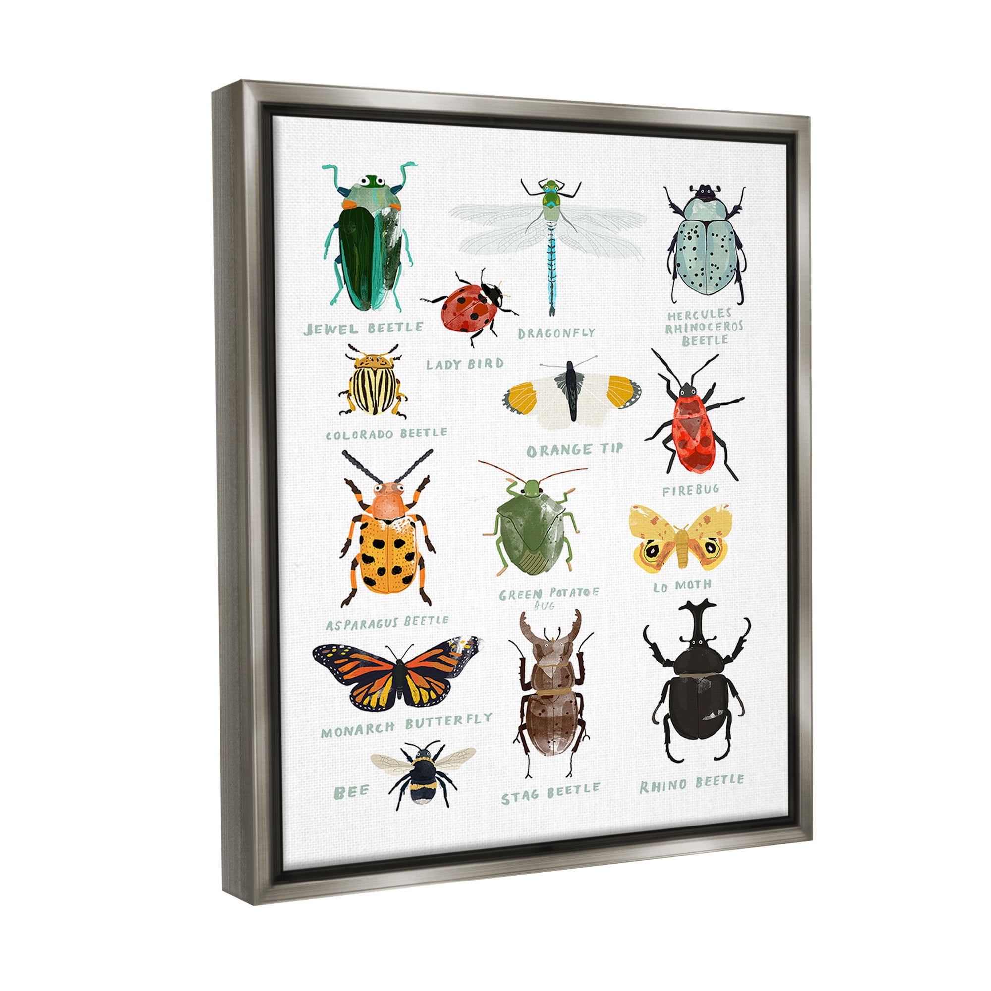 Stupell Industries Educational Bug Types Animals & Insects Painting Gray Floater Framed Canvas Art Print Wall Art, 17 x 21
