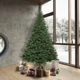thumbnail image 3 of Vickerman 8.5' Oregon Fir Artificial Christmas Tree, Wide Angle Single Mold Warm White LED Lights, 3 of 3