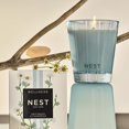 thumbnail image 3 of Candle NEST New York Driftwood & Manzanilla, 240 ml, paquete de 2, 3 of 7