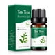 thumbnail image 1 of Aromatherapy Water Soluble Oil Aromatherapy Suitable For Humidifier 10ml, 1 of 5